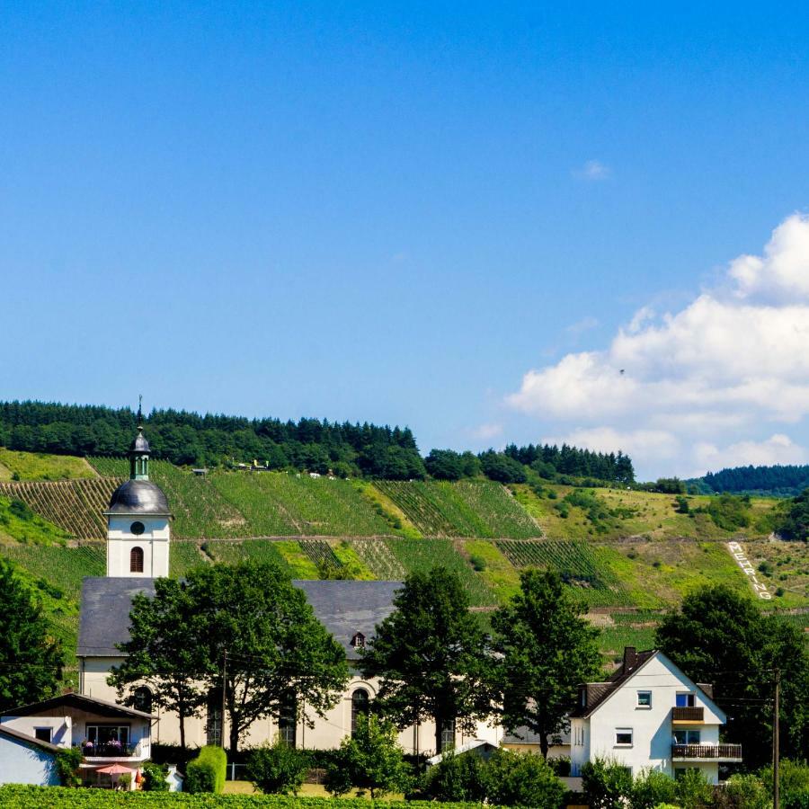 Ferienwohnung Und Gaestezimmer Reis-Kohl Mehring  Buitenkant foto